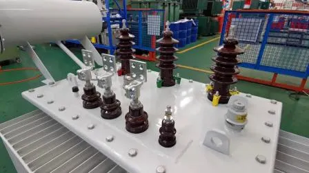  저손실 오일 배전 변압기, 33kV 전기 변압기, 공장 및 제조업체 30년.  전세계 배송 가능합니다.  지금 무료 견적 받기